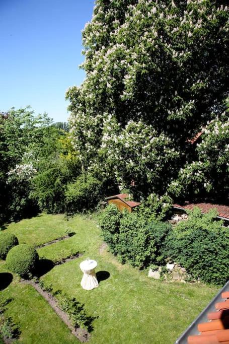 Haus Keppelborg: Zi Ferdinand Mit Rosengartenblick Heek Exterior photo